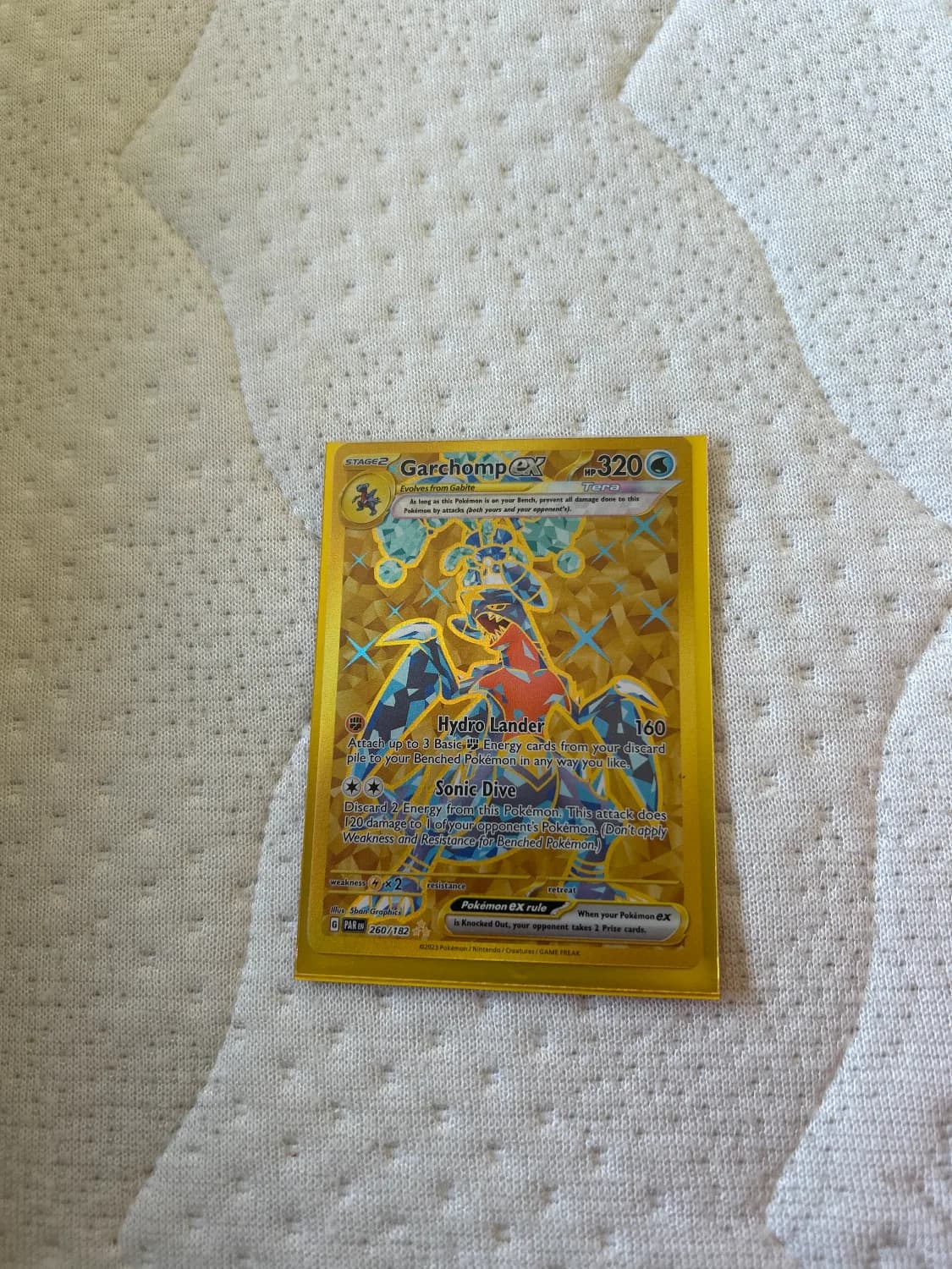 Garchomp ex