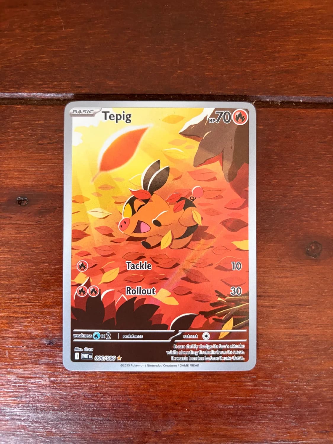 Tepig #096